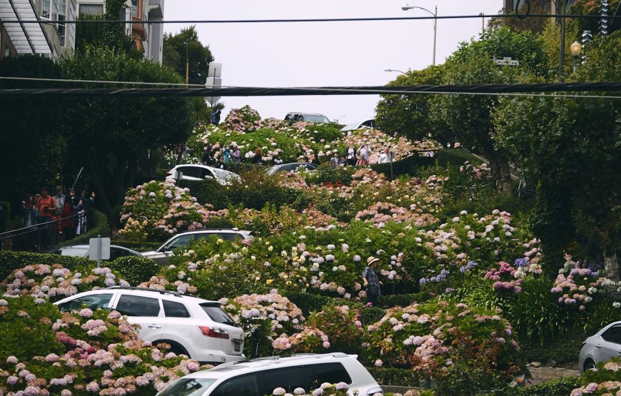 洛杉矶出发：旧金山+优胜美地国家公园+17哩湾 3日游