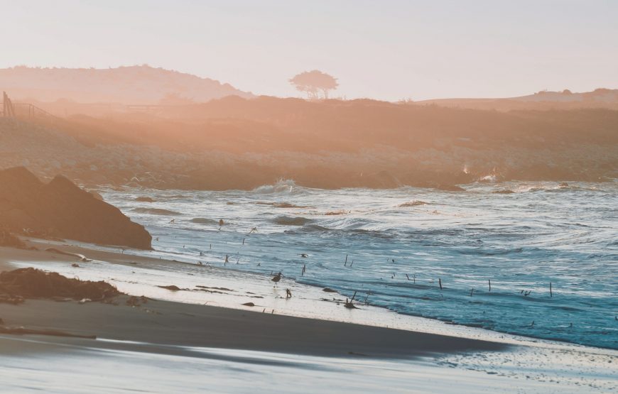 洛杉矶出发：旧金山+优胜美地国家公园+17哩湾 3日游