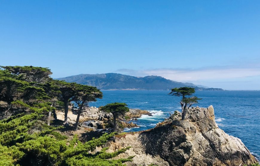 洛杉矶出发：旧金山+优胜美地国家公园+17哩湾 3日游