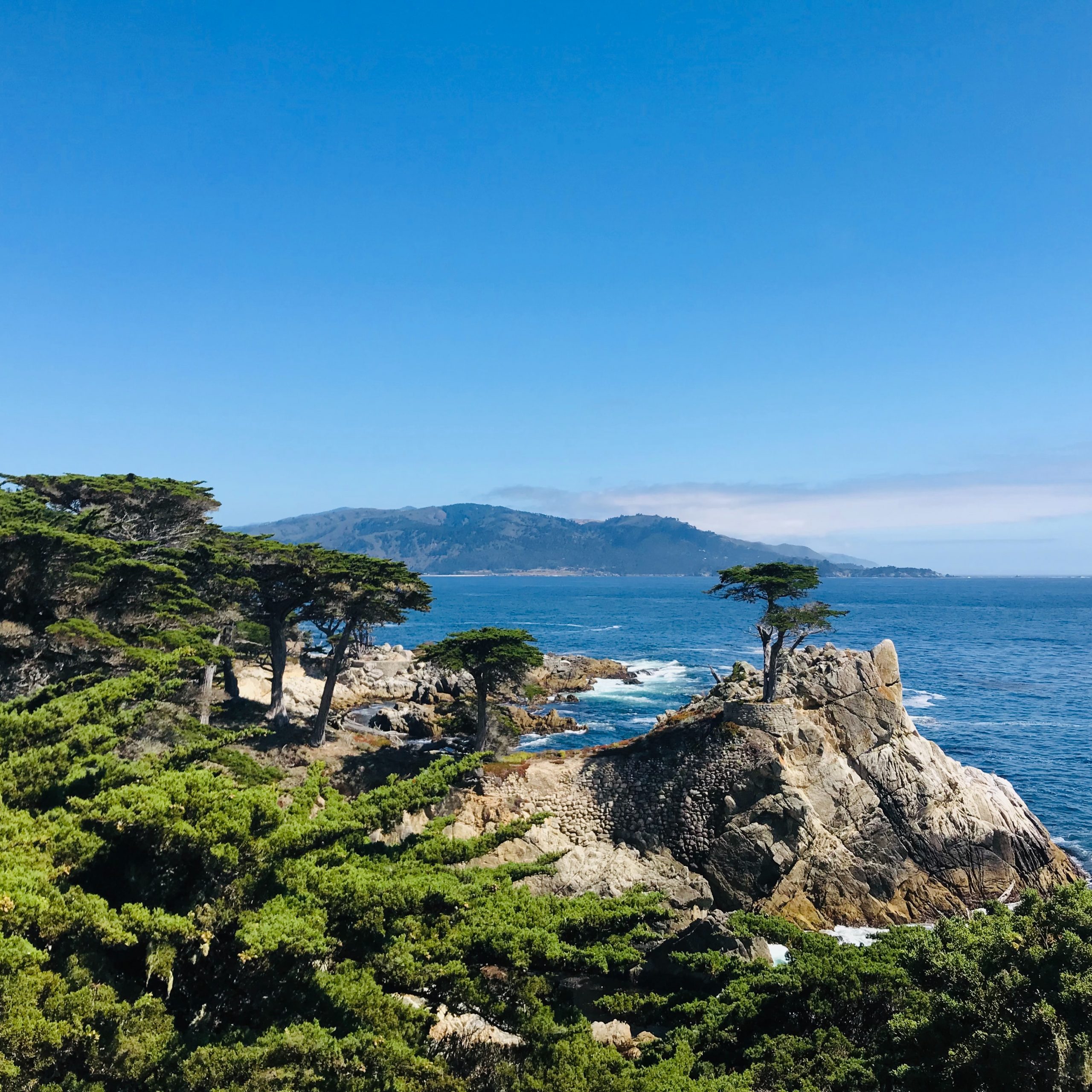 第一天 洛杉矶 -- 汽车 -- 17哩湾 -- 汽车 -- 旧金山